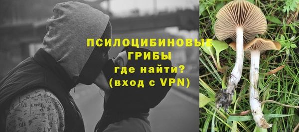 spice Балахна