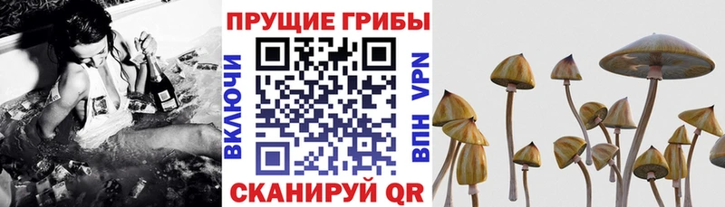 Псилоцибиновые грибы Magic Shrooms  цена наркотик  Реутов 